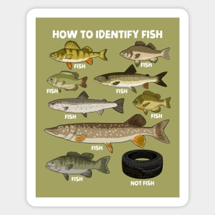 How to Indetify Fish Sticker